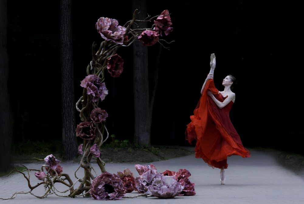 Photograph by Васильева Анастасия Валериевна