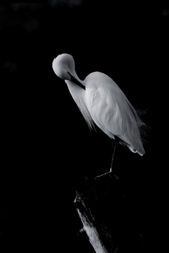 FIRST THING TO DO IN THE MORNING