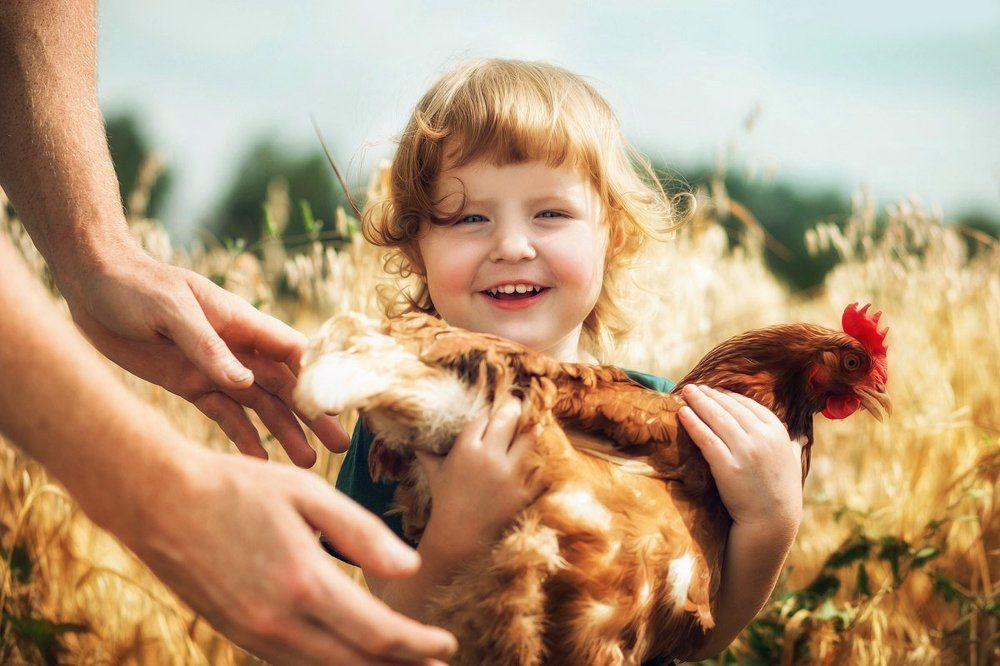 "Рыжие подружки"