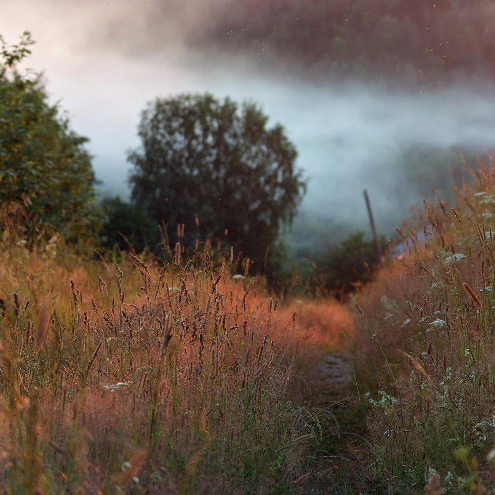 Деревенский вечер