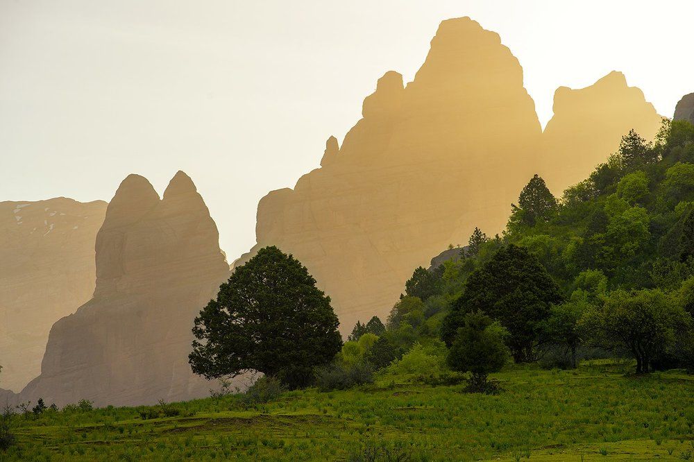 Утренние силуэты