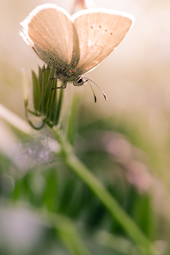 Photograph by Сергей Масленников