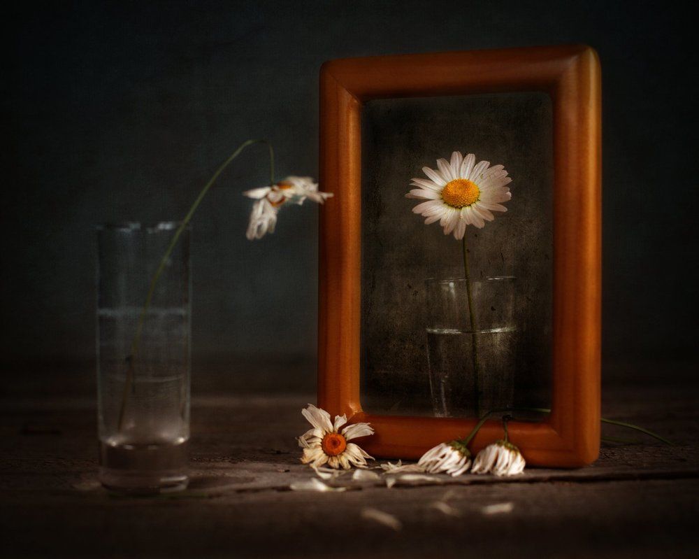 Волшебное зеркало