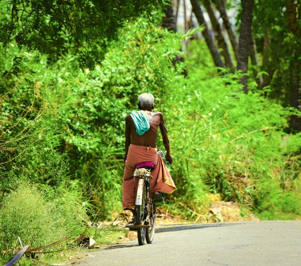 Bicycle Ride