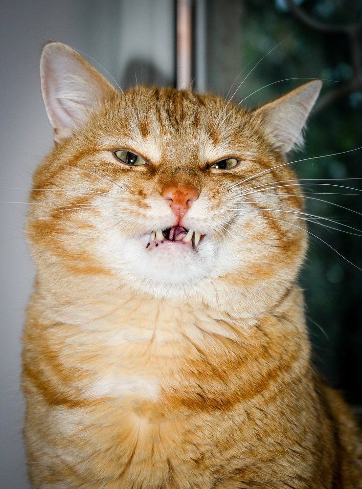 Отстань! А то...