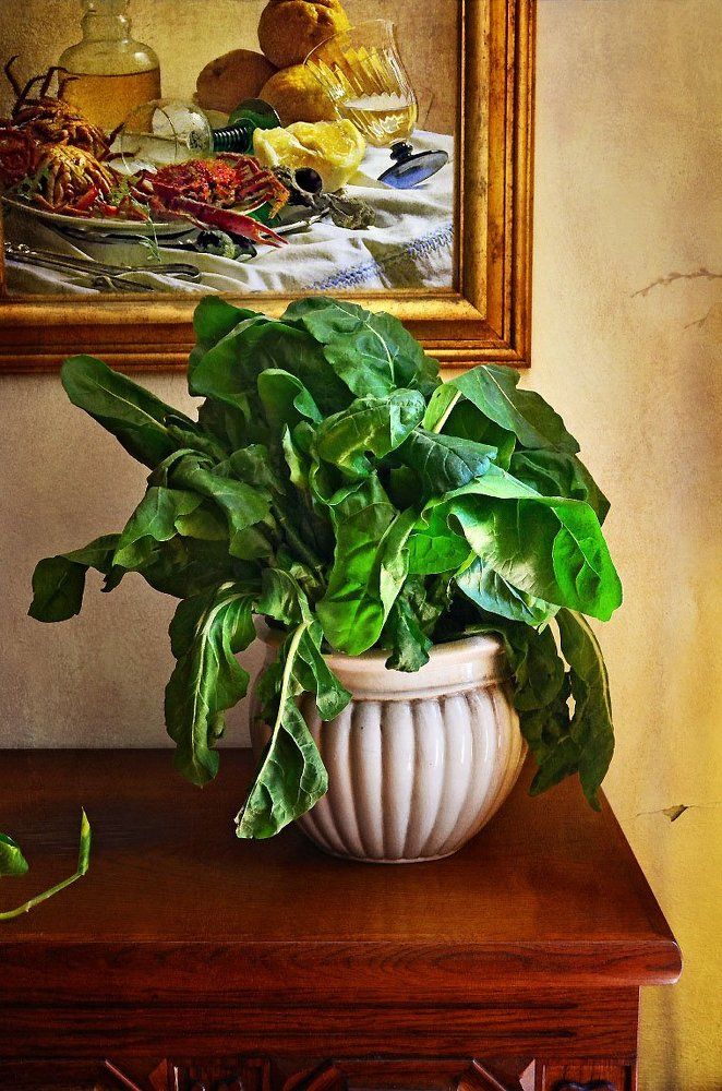 Со свежим мангольдом