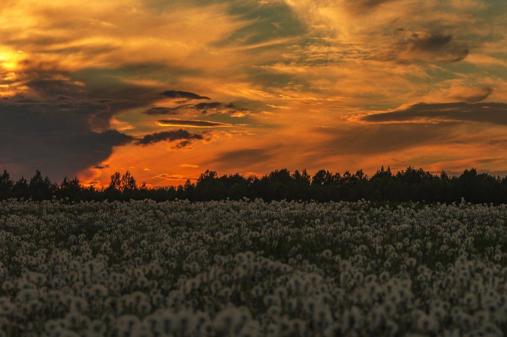 Photograph by Кожевников Сергей