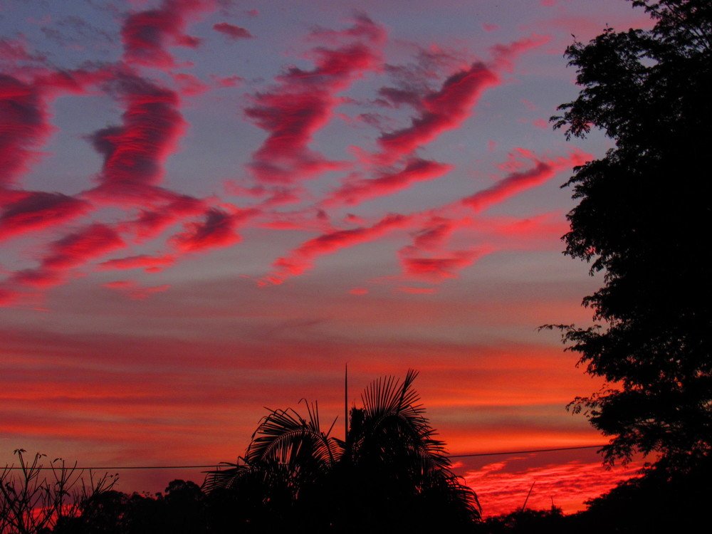 Sunset ballet