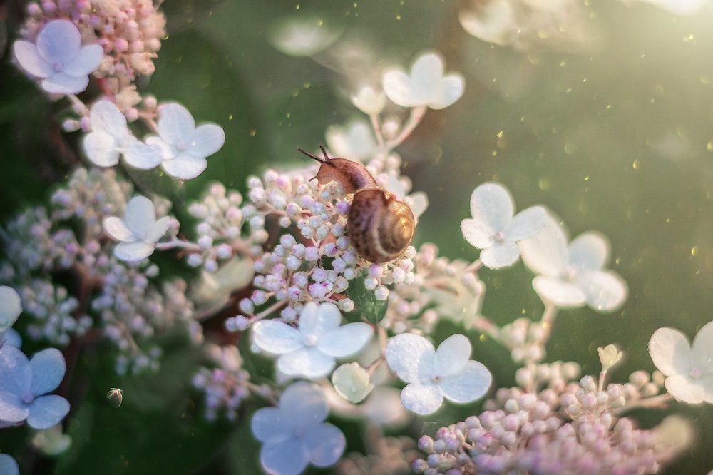 После дождя