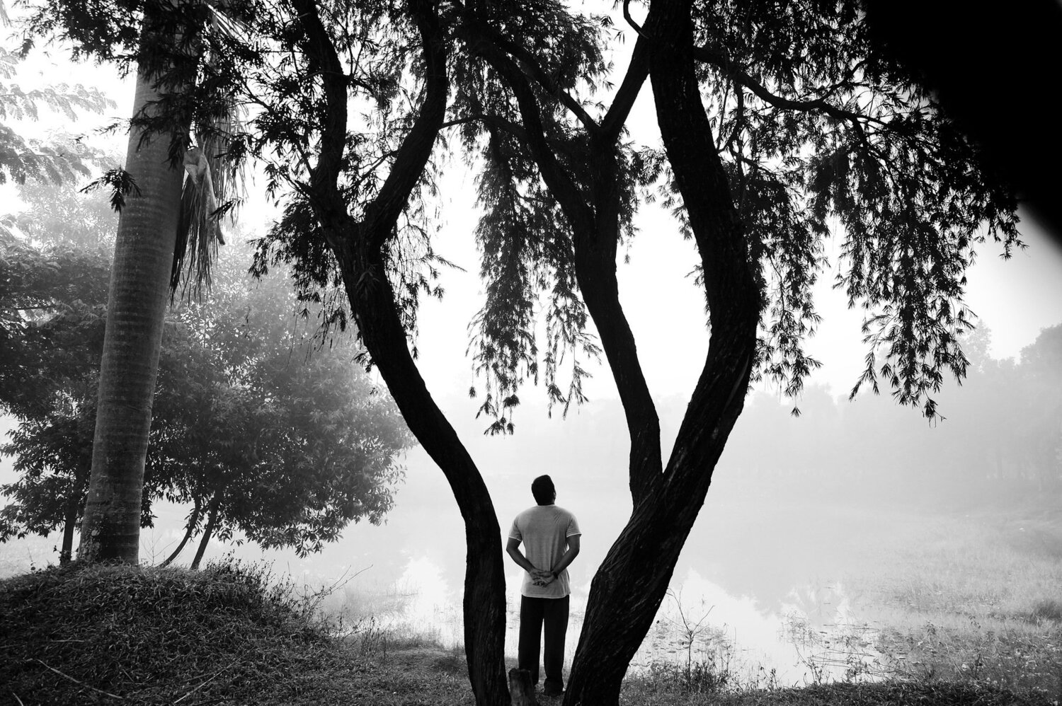 The Morning Man