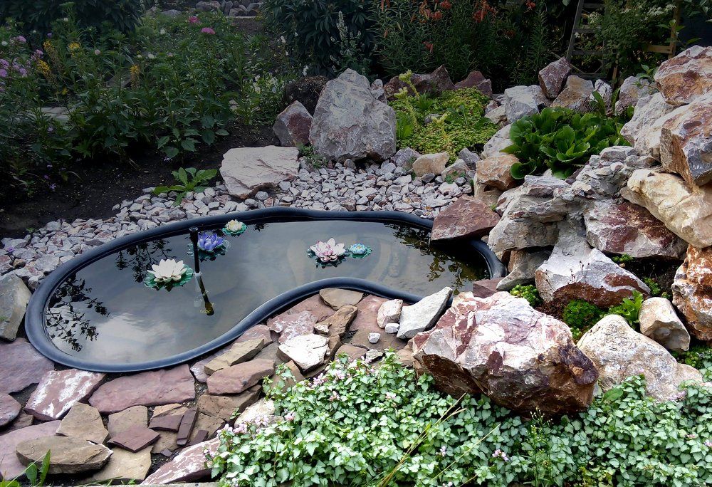 вот такой пруд