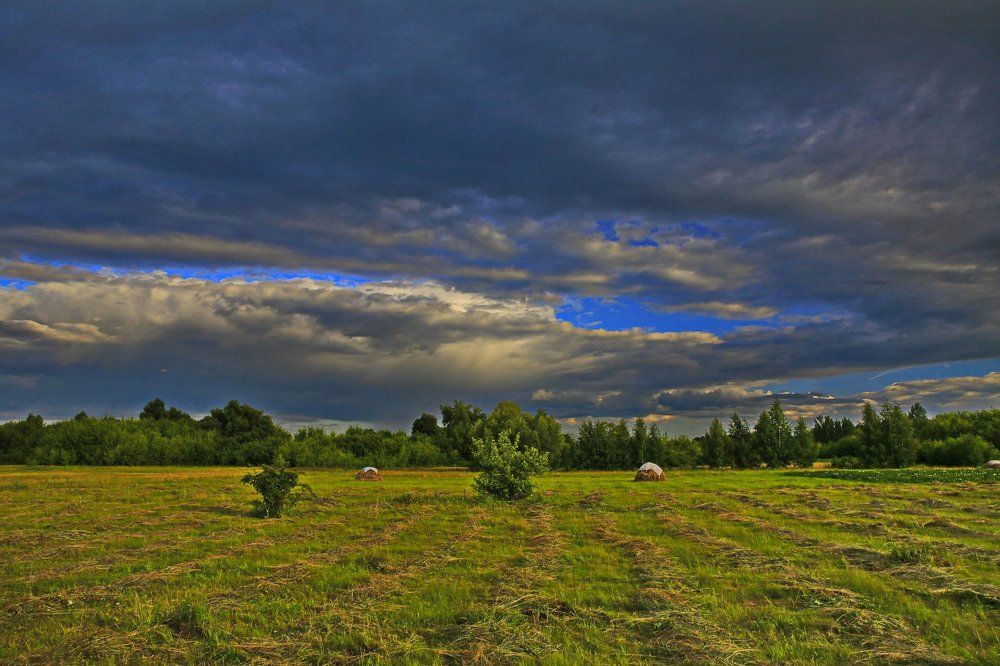 Холодное лето 2017