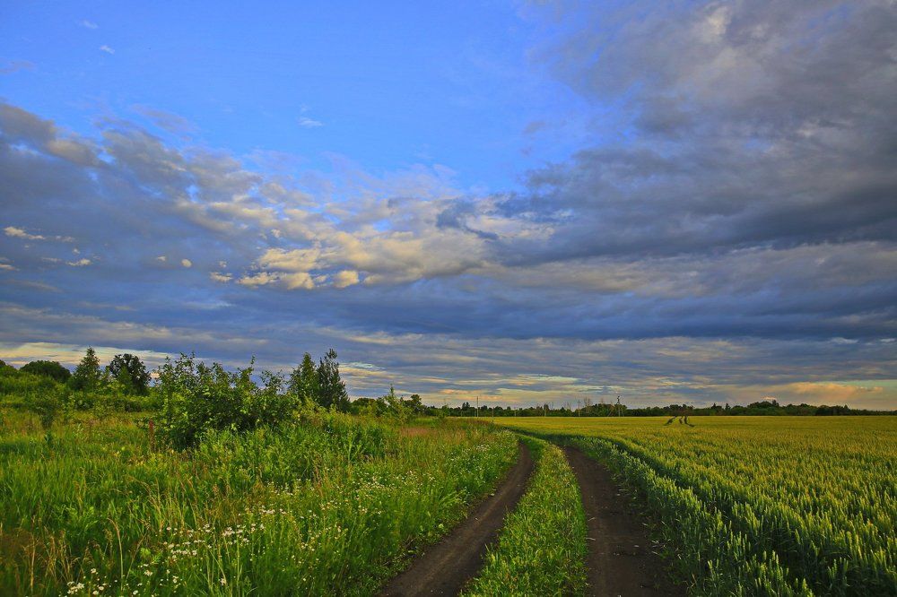 Эх, дороги...