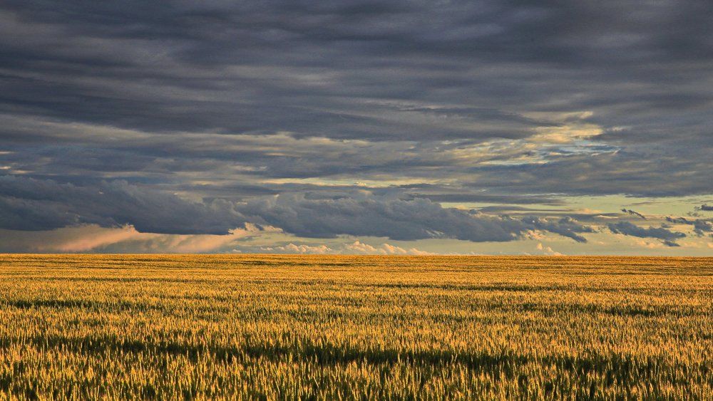 После грозы