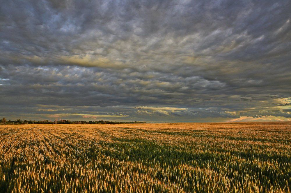 Вечерний этюд