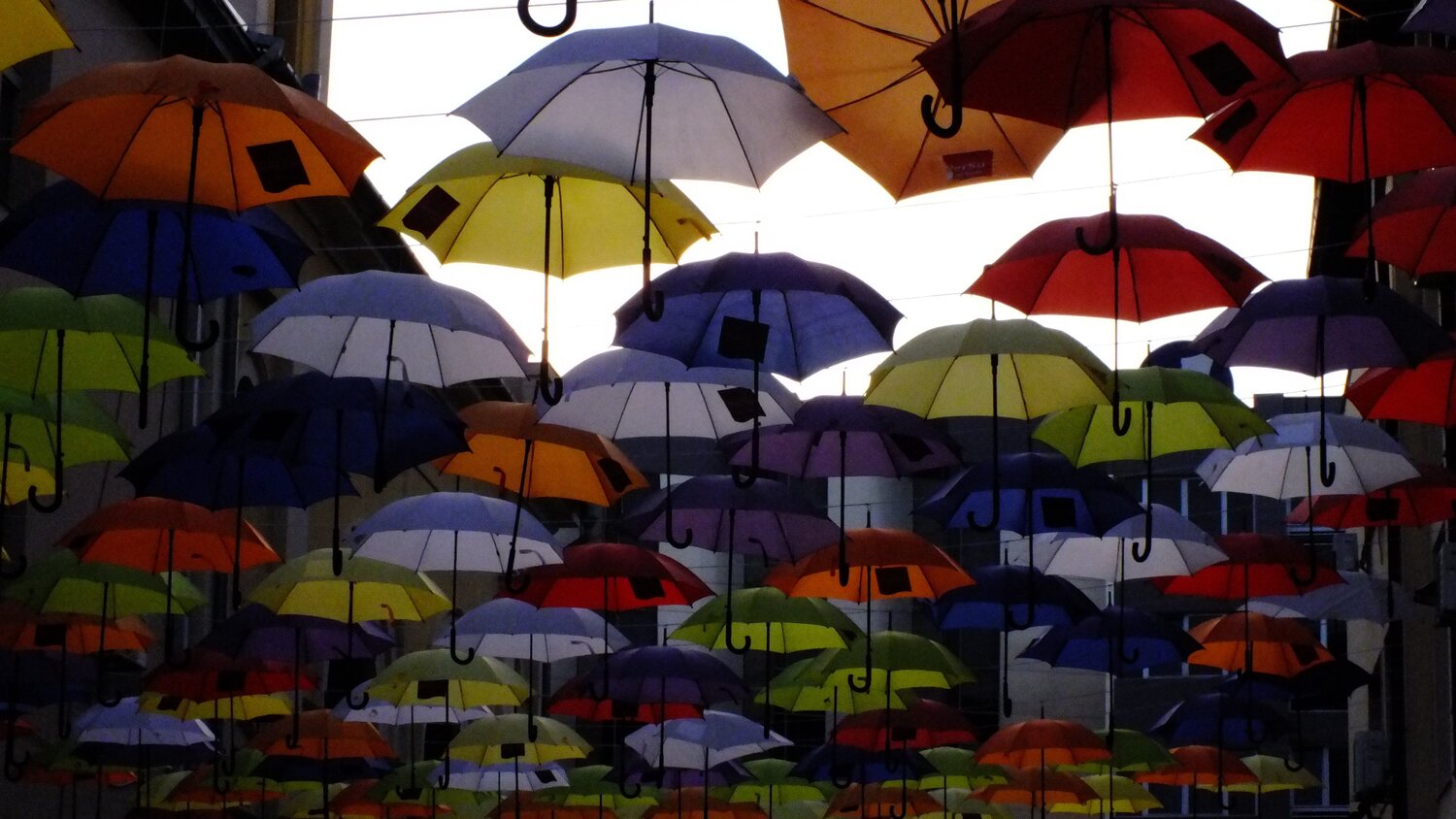 UMBRELLAS