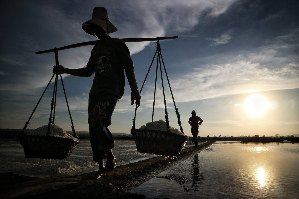 Salt Harvesting