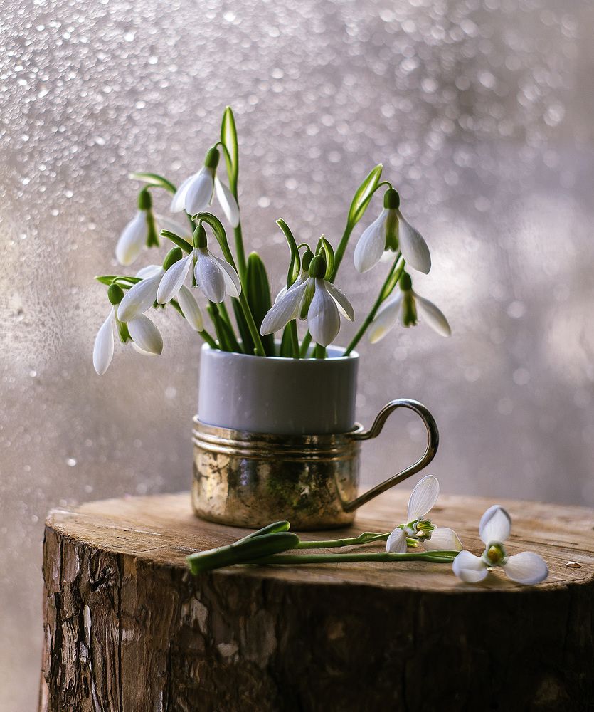 Подснежники.