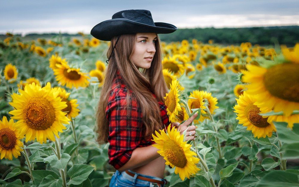 Sunflowers