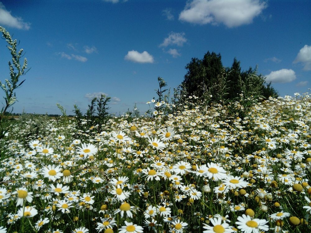 Photograph by Валерий Гудков