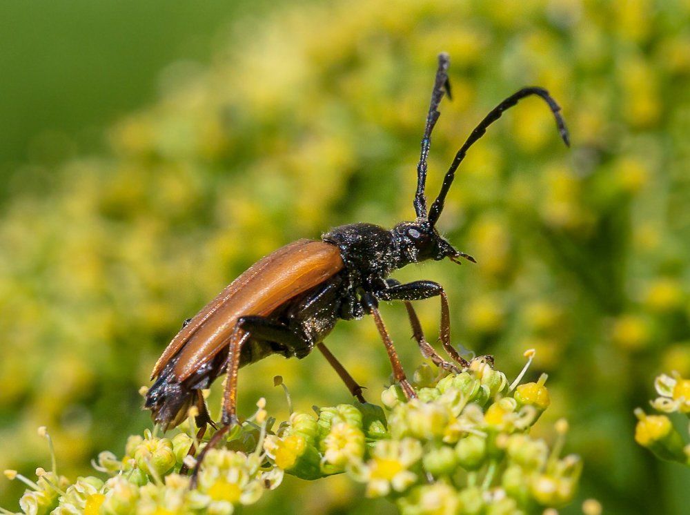 готовность