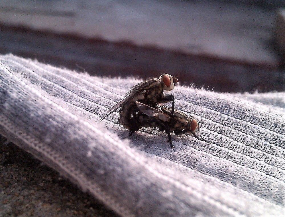 Photograph by Swapnesh Gupta