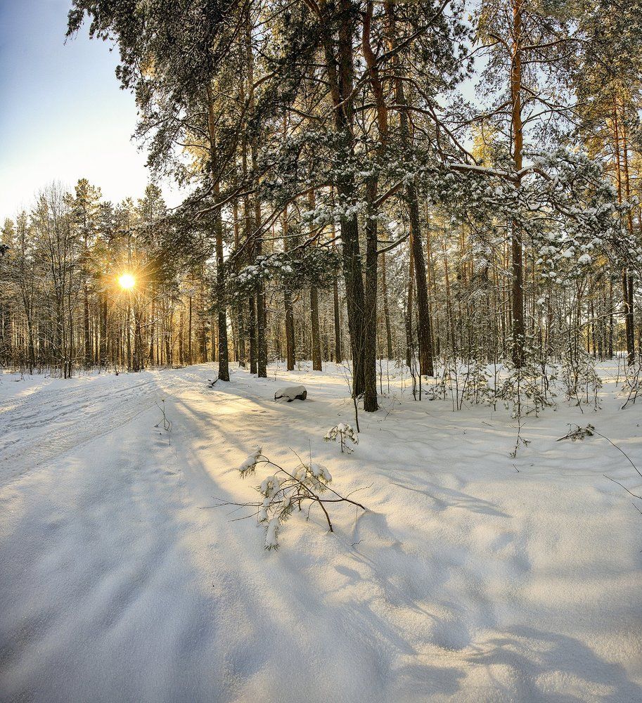 Узоры на снегу