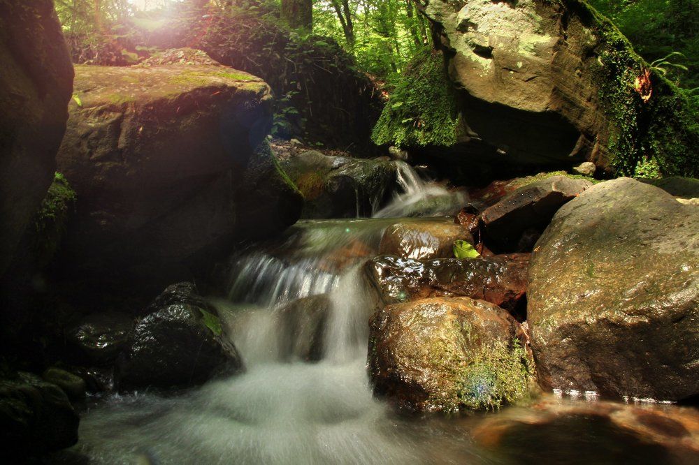 Ручеек в лесу