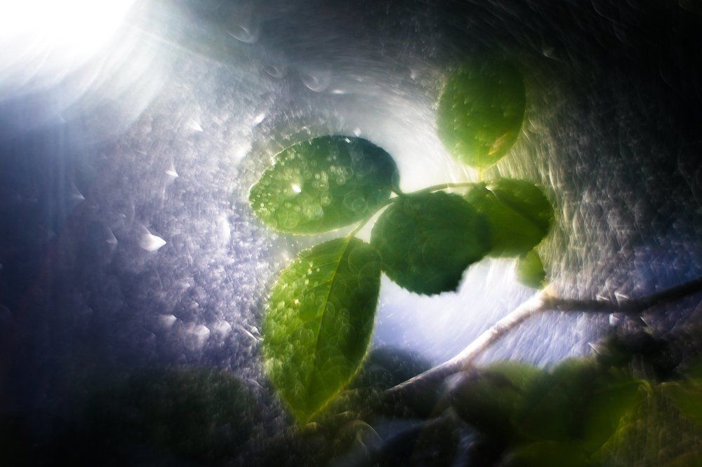 Во власли стихии