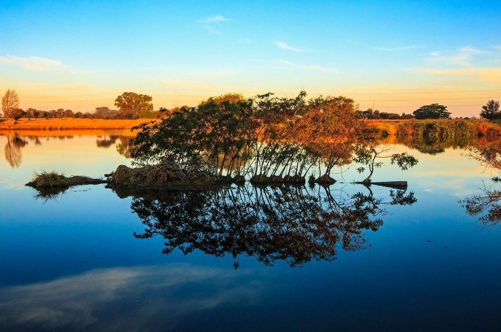 Refleciions