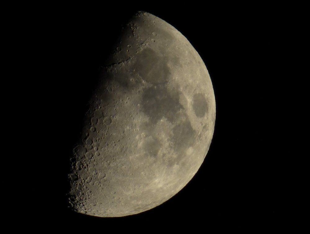 The Queen of the Night