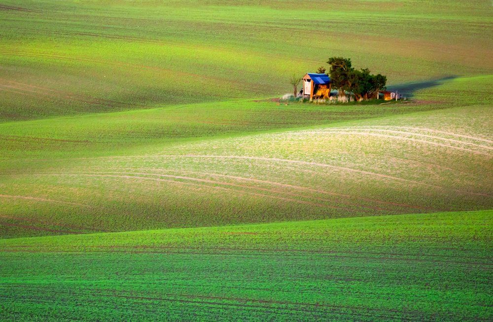 Весенние мотивы