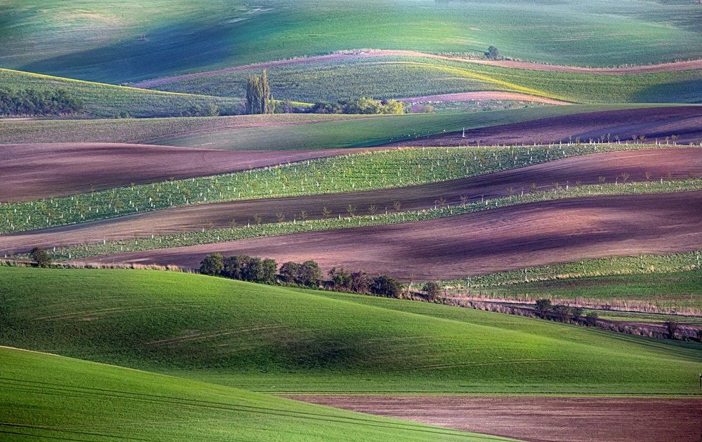 Полосы весны