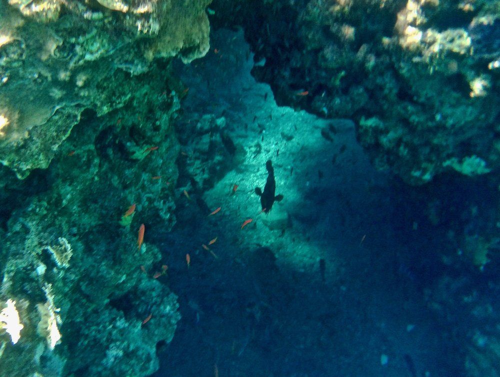 Red sea