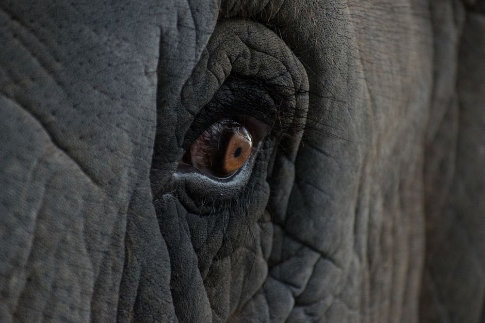 close look...