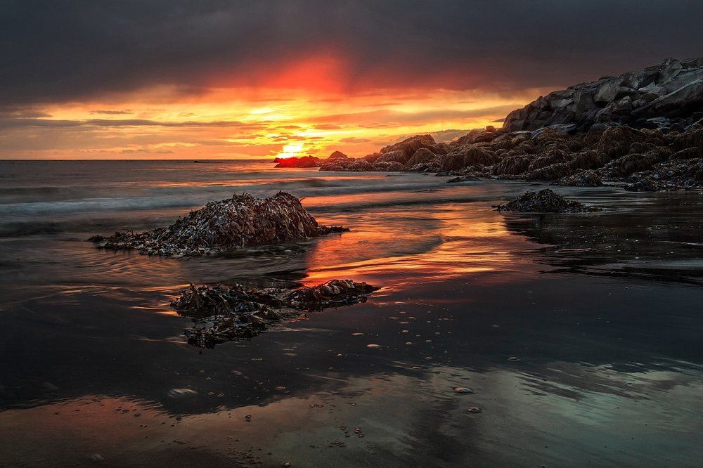 Низкая вода