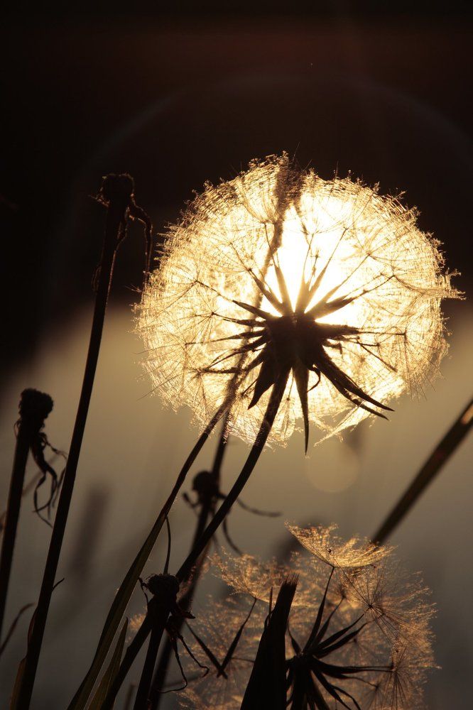 Солнечный фонарик