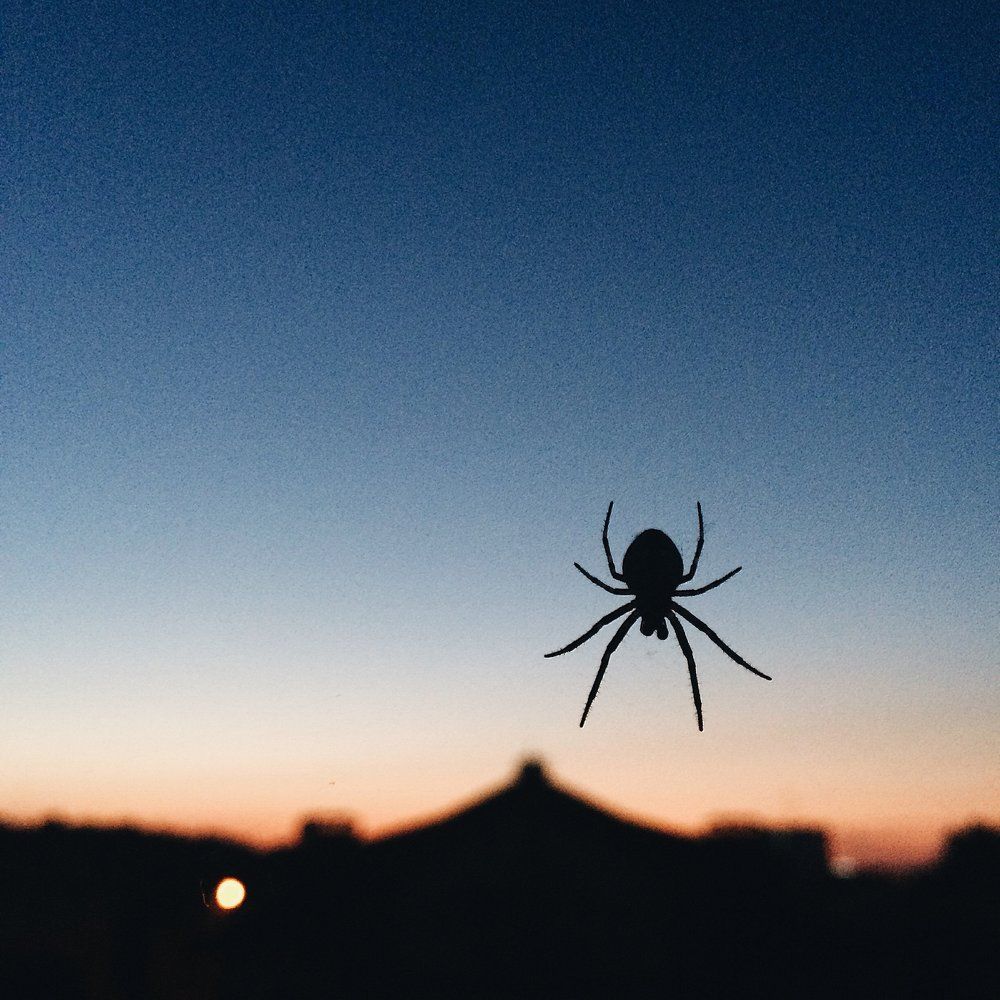 Photograph by Елизавета