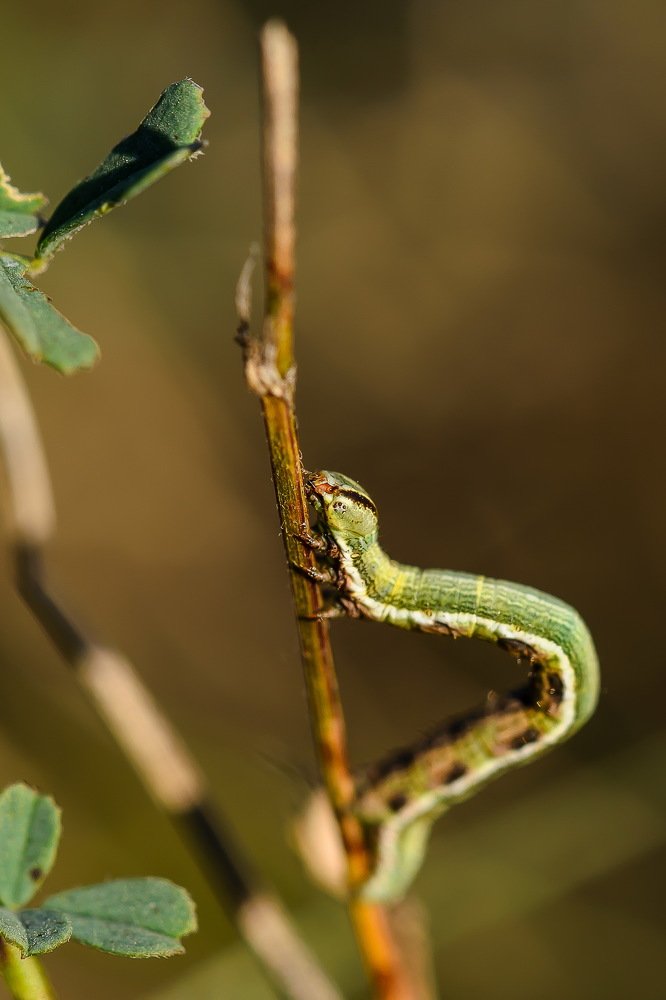 Photograph by Сергей Масленников