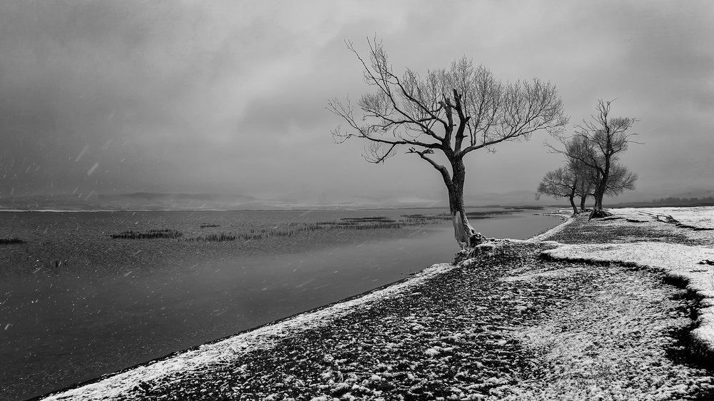 Первый снег