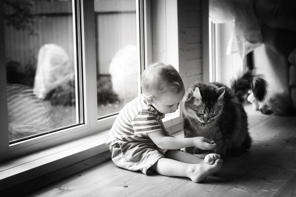 Все мы делим пополам