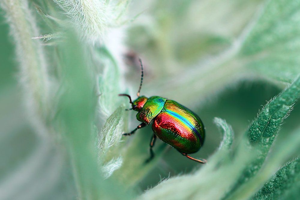 Поскользнулся, упал, очнулся в сказке...