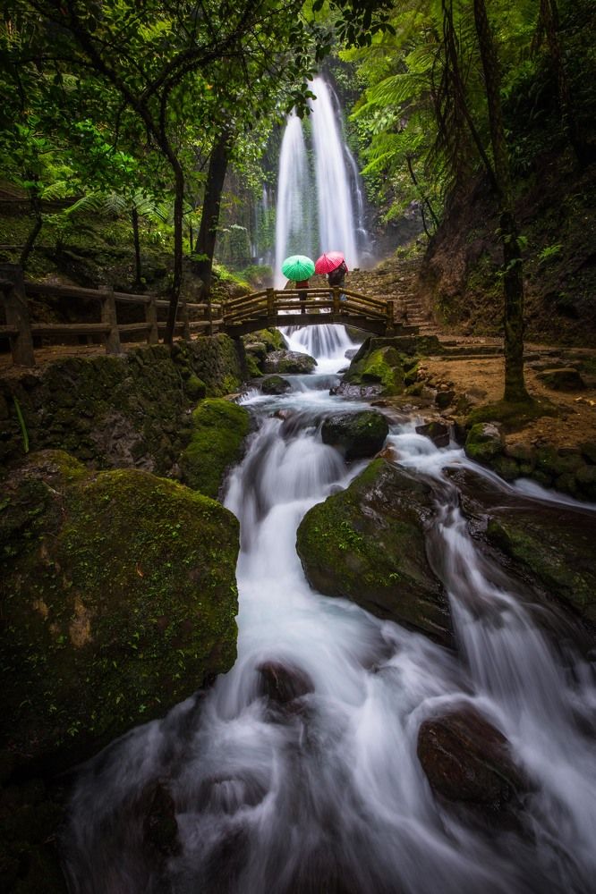 The life is beautifu