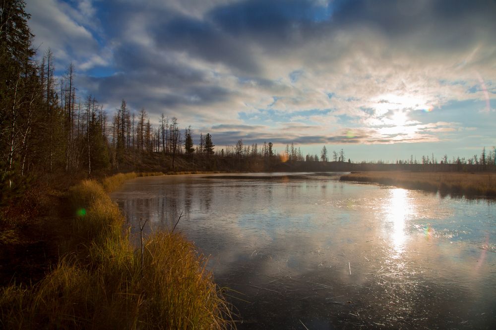 Осенние заморозки