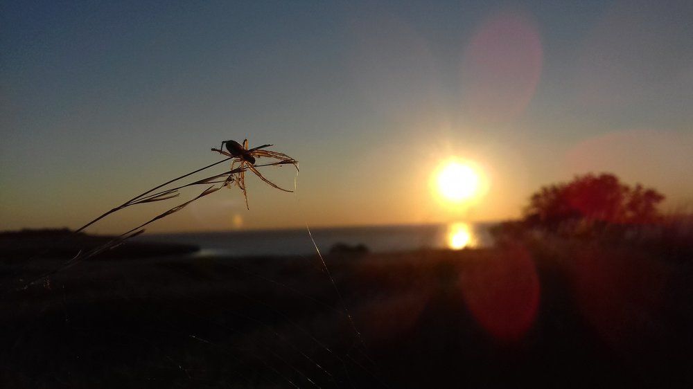 Photo #1872271