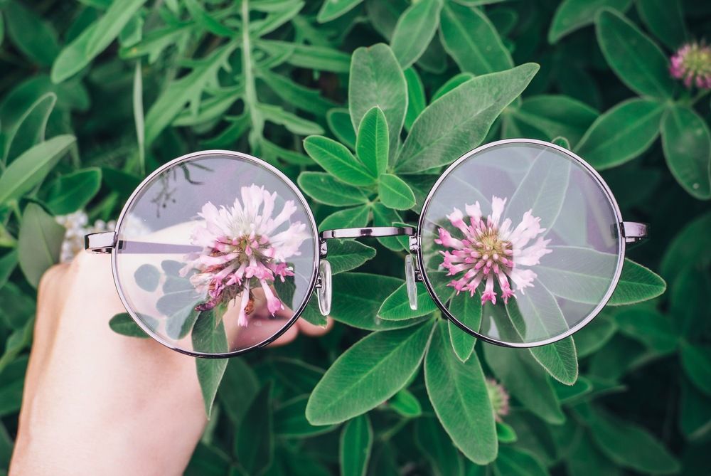 Очки для природы