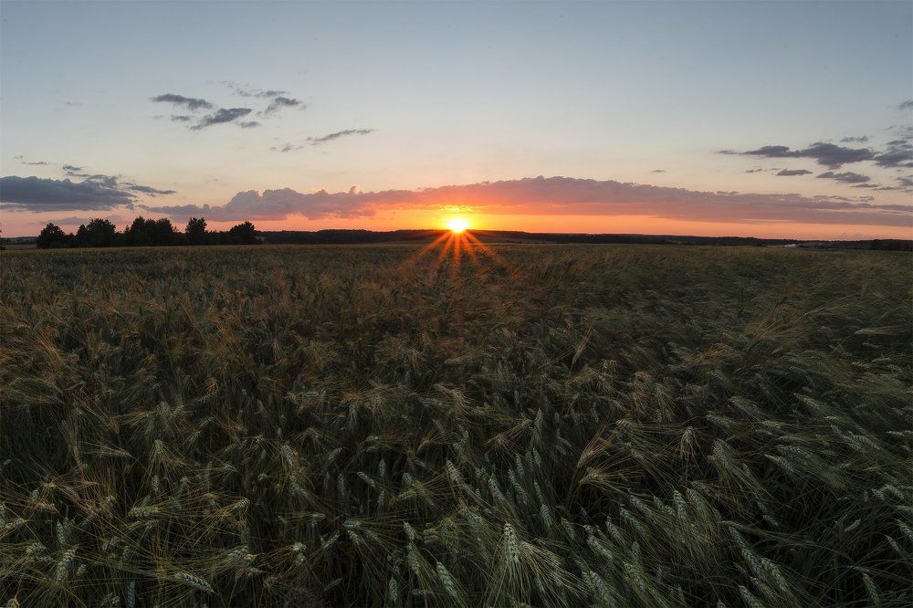 Провожая закат