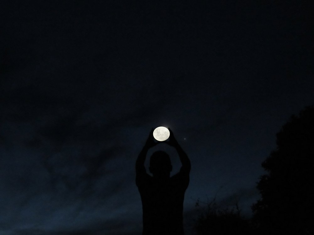 Night companion