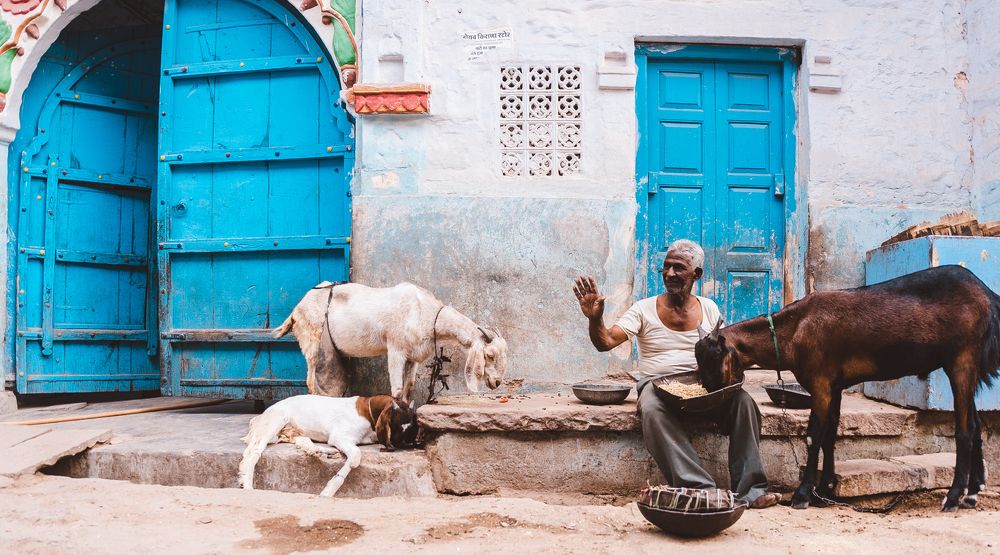 Ланч на свежем воздухе