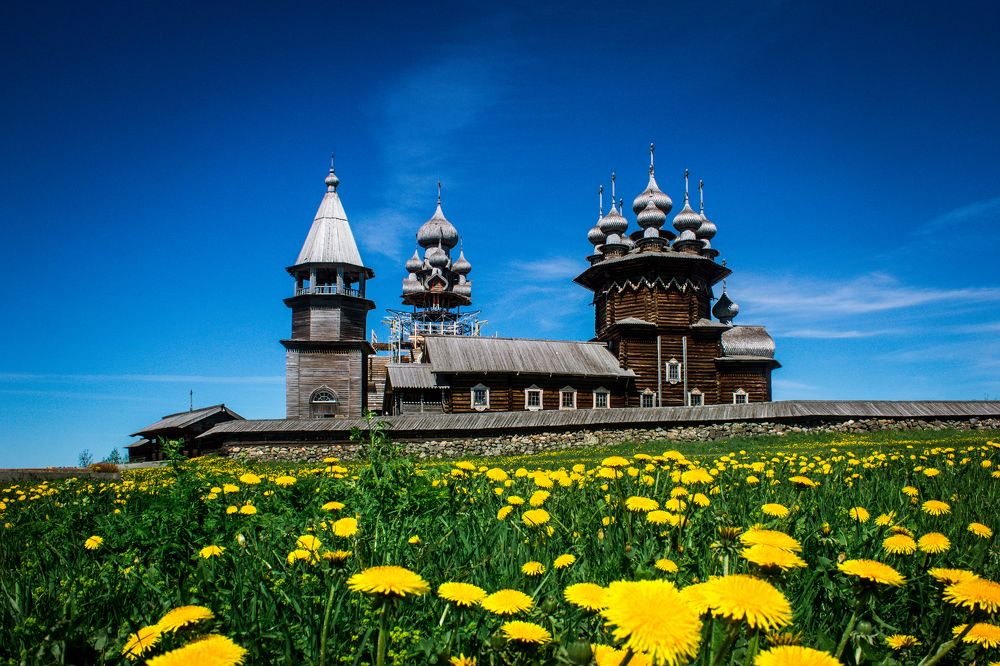 Море одуванчиков